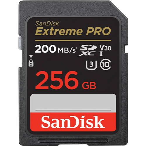 SD Card 256GB